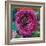 Peripheral Rose 1-Boho Hue Studio-Framed Art Print