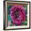 Peripheral Rose 1-Boho Hue Studio-Framed Art Print