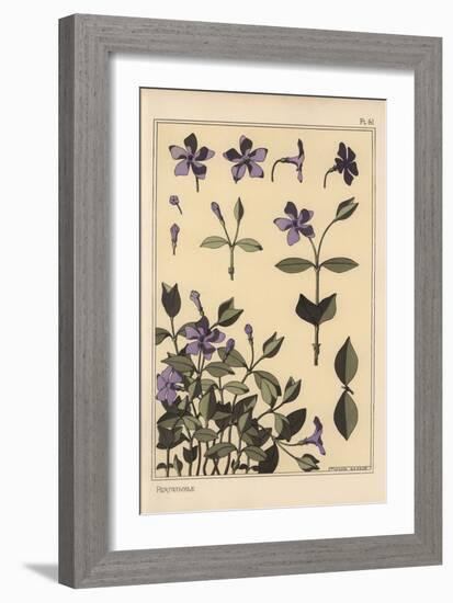 Periwinkle Botanical Study, 1897 (Lithograph)-Eugene Grasset-Framed Giclee Print