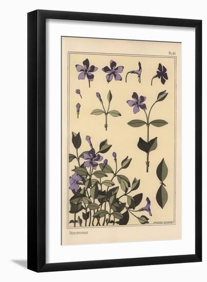 Periwinkle Botanical Study, 1897 (Lithograph)-Eugene Grasset-Framed Giclee Print