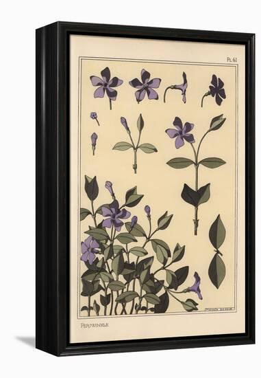 Periwinkle Botanical Study, 1897 (Lithograph)-Eugene Grasset-Framed Premier Image Canvas