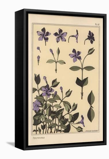 Periwinkle Botanical Study, 1897 (Lithograph)-Eugene Grasset-Framed Premier Image Canvas