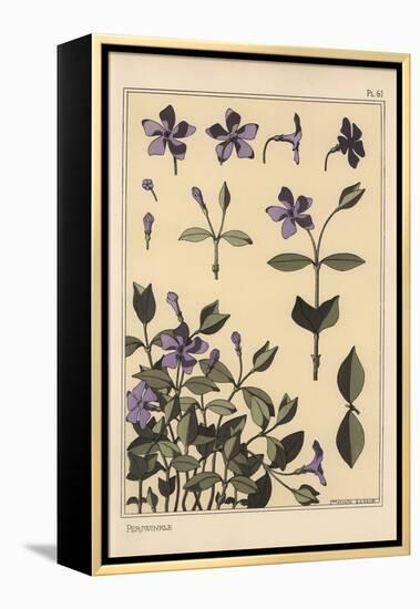 Periwinkle Botanical Study, 1897 (Lithograph)-Eugene Grasset-Framed Premier Image Canvas