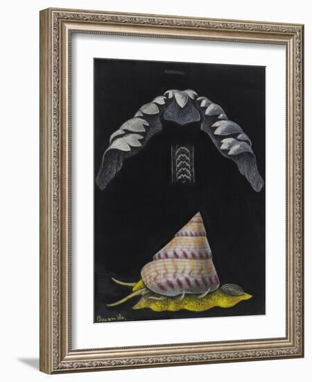 Periwinkle: Topshell-Philip Henry Gosse-Framed Giclee Print