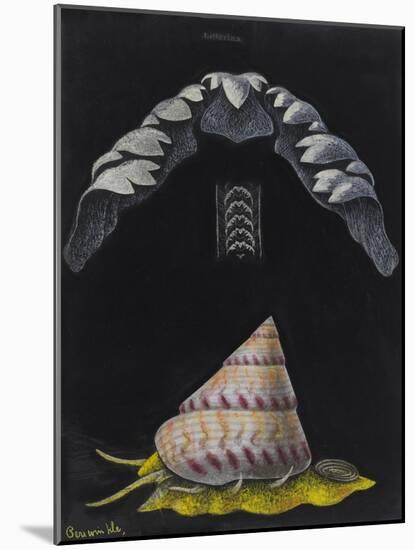 Periwinkle: Topshell-Philip Henry Gosse-Mounted Giclee Print