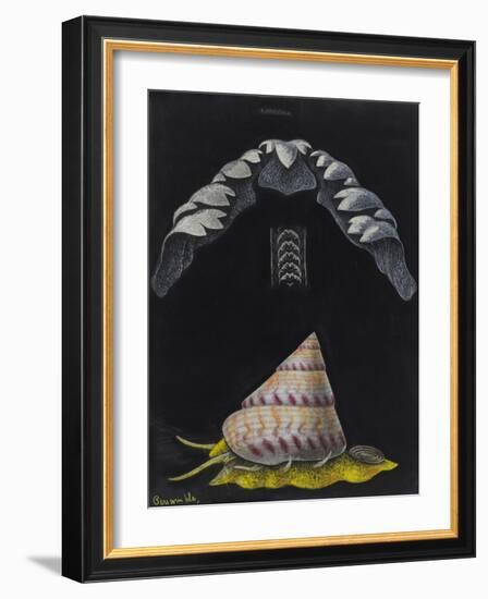 Periwinkle: Topshell-Philip Henry Gosse-Framed Giclee Print