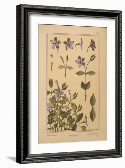 Periwinkle-null-Framed Giclee Print