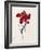 Perroquet Rouge, C.1744-Georg Dionysius Ehret-Framed Giclee Print