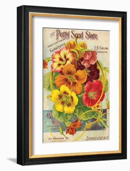 Perry Seed Store Syracuse NY-null-Framed Premium Giclee Print