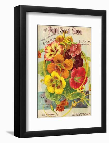 Perry Seed Store Syracuse NY-null-Framed Art Print