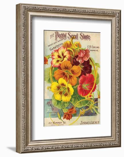 Perry Seed Store Syracuse NY-null-Framed Art Print