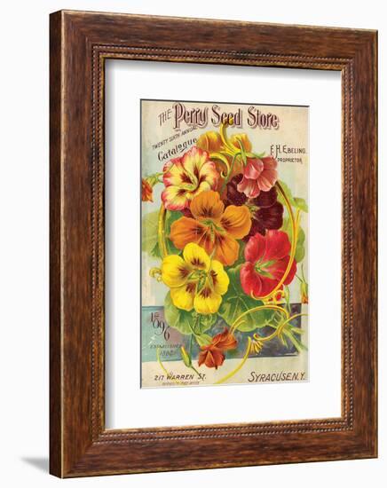 Perry Seed Store Syracuse NY-null-Framed Art Print