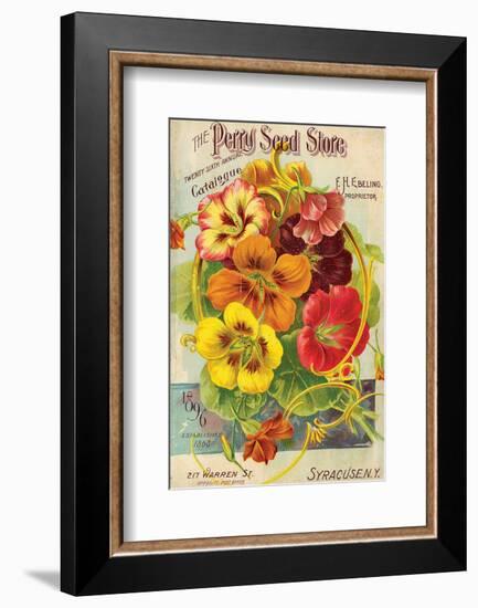 Perry Seed Store Syracuse NY-null-Framed Art Print