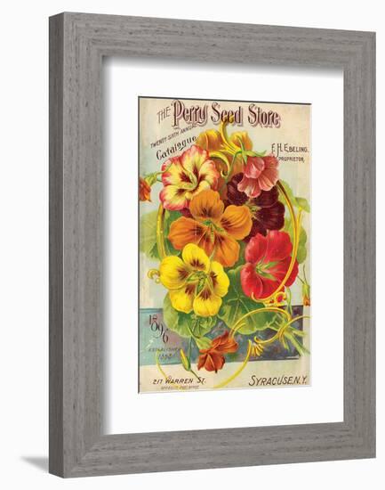 Perry Seed Store Syracuse NY-null-Framed Art Print