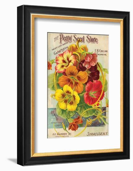 Perry Seed Store Syracuse NY-null-Framed Art Print