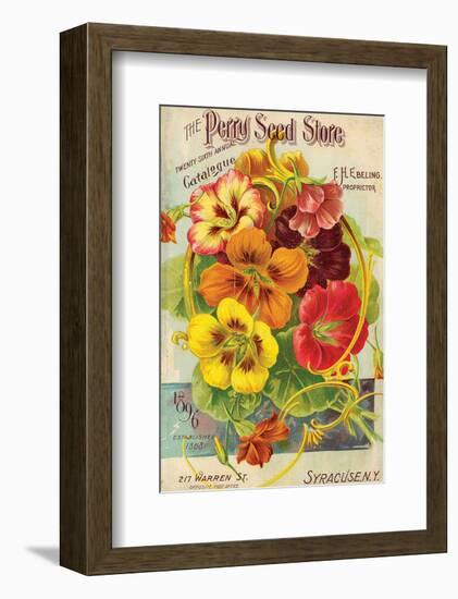 Perry Seed Store Syracuse NY-null-Framed Art Print