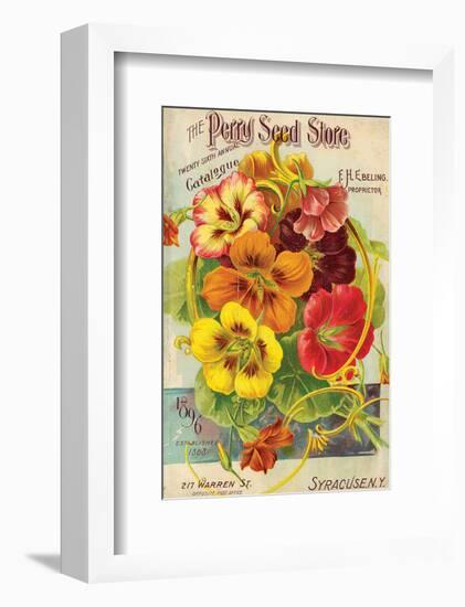 Perry Seed Store Syracuse NY-null-Framed Art Print