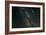 Perseid Meteor Shower, Meteor Track-Eckhard Slawik-Framed Photographic Print