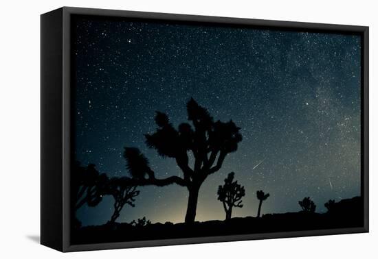 Perseid Meteor Shower-kesterhu-Framed Premier Image Canvas