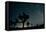 Perseid Meteor Shower-kesterhu-Framed Premier Image Canvas