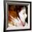 Persephone-Gideon Ansell-Framed Photographic Print