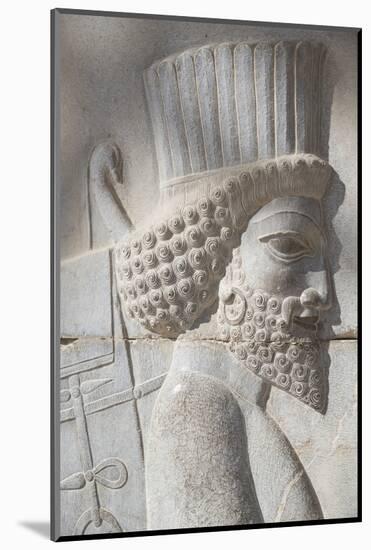 Persepolis Archeological Site, Iran, Western Asia-Eitan Simanor-Mounted Photographic Print