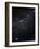 Perseus Constellation-Eckhard Slawik-Framed Photographic Print