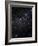 Perseus Constellation-Eckhard Slawik-Framed Photographic Print