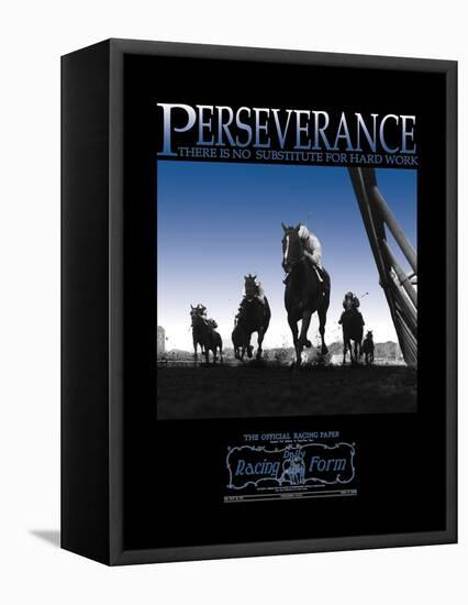 Perseverance-null-Framed Stretched Canvas