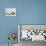 Persian Cat, Five Kittens, Silver-And-White, Black-And-White and Ginger-And-White Sitting in Line-Petra Wegner-Photographic Print displayed on a wall