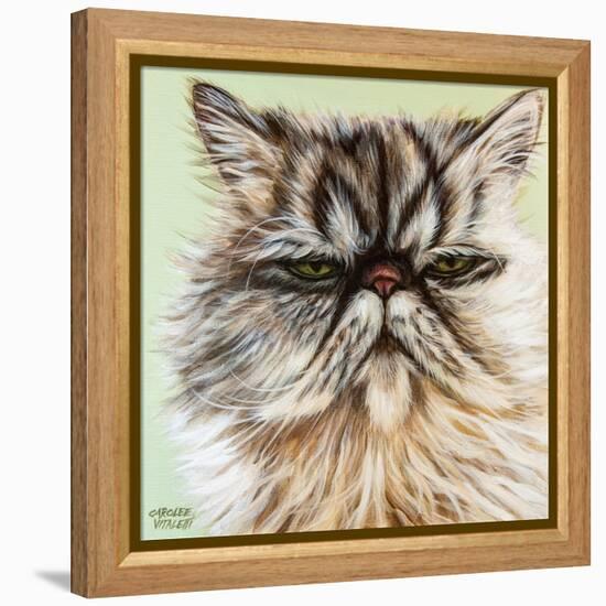 Persian Cat I-Carolee Vitaletti-Framed Stretched Canvas