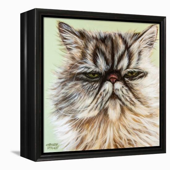 Persian Cat I-Carolee Vitaletti-Framed Stretched Canvas