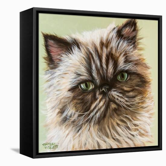 Persian Cat II-Carolee Vitaletti-Framed Stretched Canvas