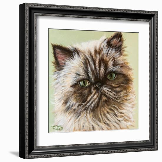 Persian Cat II-Carolee Vitaletti-Framed Art Print