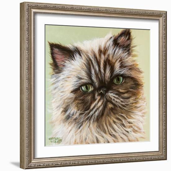 Persian Cat II-Carolee Vitaletti-Framed Art Print