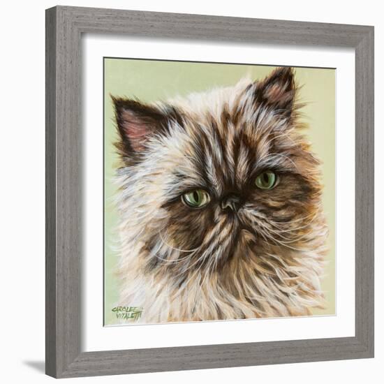 Persian Cat II-Carolee Vitaletti-Framed Art Print