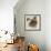 Persian Cat II-Carolee Vitaletti-Framed Art Print displayed on a wall