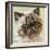 Persian Cat II-Carolee Vitaletti-Framed Art Print