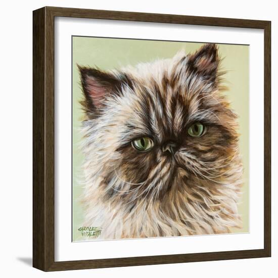 Persian Cat II-Carolee Vitaletti-Framed Art Print