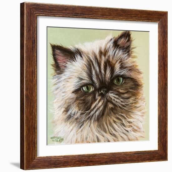 Persian Cat II-Carolee Vitaletti-Framed Art Print