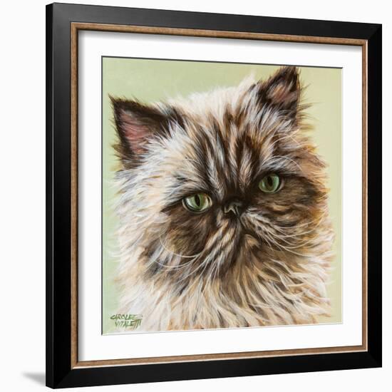 Persian Cat II-Carolee Vitaletti-Framed Art Print