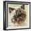 Persian Cat II-Carolee Vitaletti-Framed Art Print