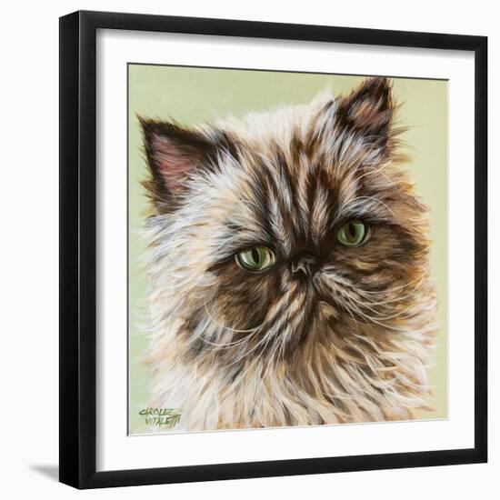 Persian Cat II-Carolee Vitaletti-Framed Art Print