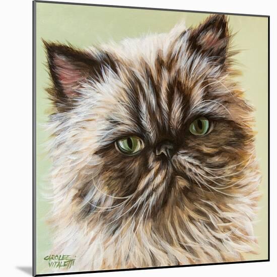 Persian Cat II-Carolee Vitaletti-Mounted Art Print