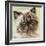 Persian Cat II-Carolee Vitaletti-Framed Art Print