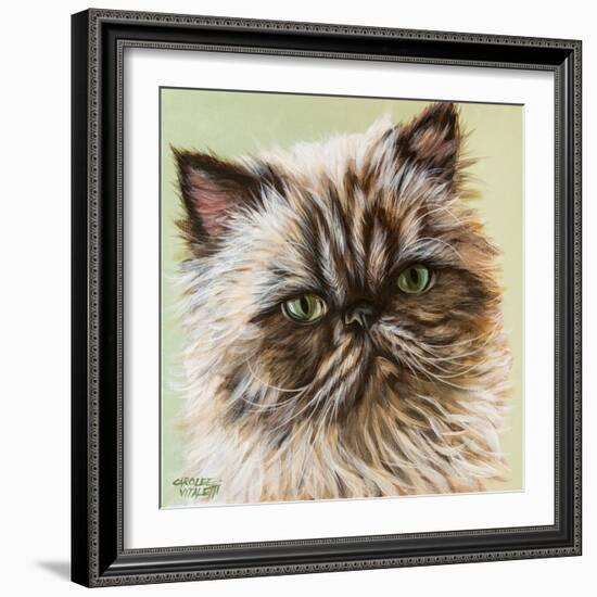 Persian Cat II-Carolee Vitaletti-Framed Art Print