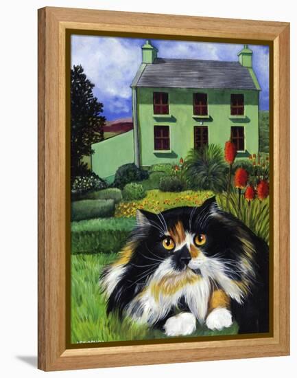 Persian Cat in Ireland (Chat Persan En Irland)-Isy Ochoa-Framed Premier Image Canvas