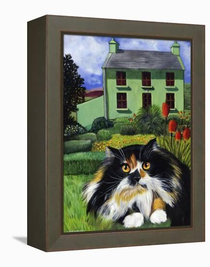 Persian Cat in Ireland (Chat Persan En Irland)-Isy Ochoa-Framed Premier Image Canvas