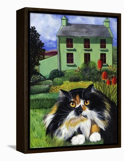 Persian Cat in Ireland (Chat Persan En Irland)-Isy Ochoa-Framed Premier Image Canvas