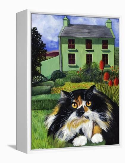 Persian Cat in Ireland (Chat Persan En Irland)-Isy Ochoa-Framed Premier Image Canvas